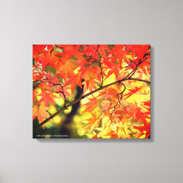 Toile Autumn Leaves [Canvas Print]