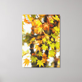 Toile Autumn Leaves [Canvas Print]