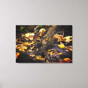 Toile Autumn Wildlife Portrait
