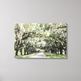 Toile Avenue des Chênes, Boone Hall Plantation Aquarelle