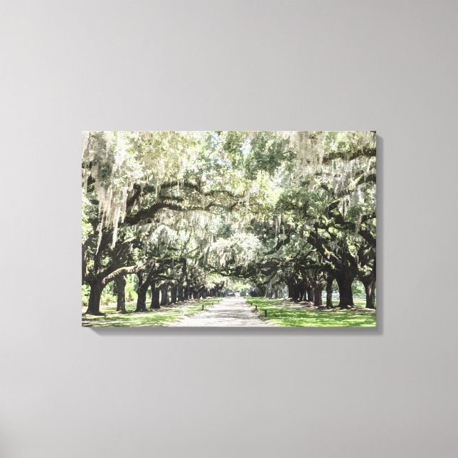 Toile Avenue des Chênes, Boone Hall Plantation Aquarelle (Recto)