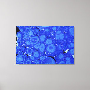 Toile Azurite, un minerai de cuivre, Arizona, USA