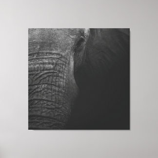 Toile B&W Elephant