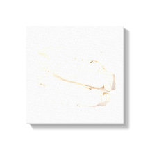 Bai Shao Canvas