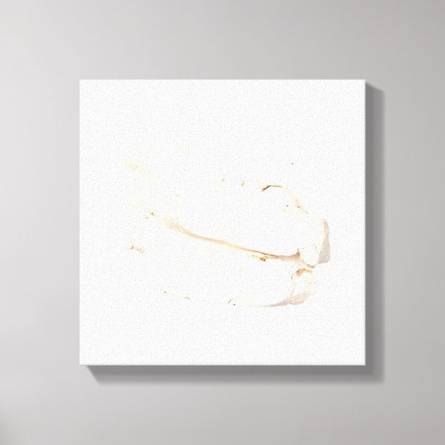 Toile Bai Shao Canvas (Recto)