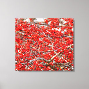 Toile Baies d'hiver rouge vif Baies d'arbre blanc