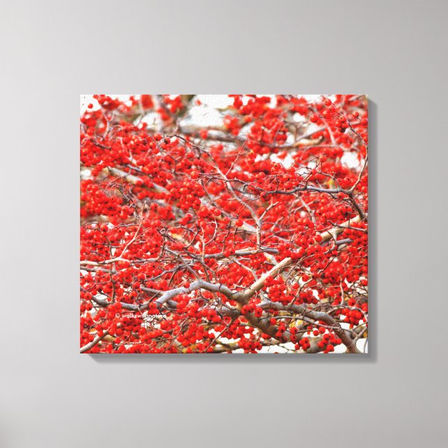 Toile Baies d'hiver rouge vif Baies d'arbre blanc (Recto)