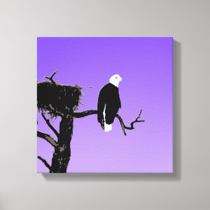 Toile Bald Eagle at Sunset - Art original de la faune