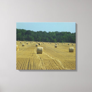 Toile Bales rondes