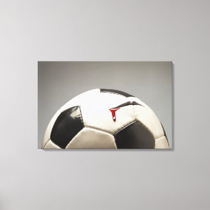 Toile balle de football 3
