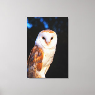 Toile Barn Owl 2