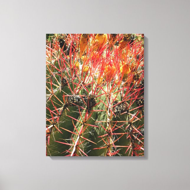 Toile Barrel Cactus (Recto)