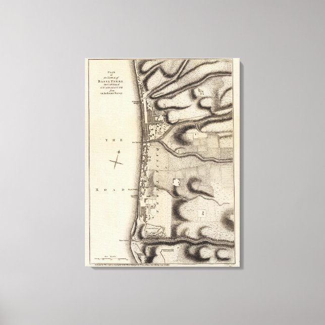 Toile Basse Terre (Recto)