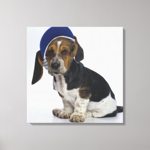 Toile Basset Hound Chiot Avec Visiteur