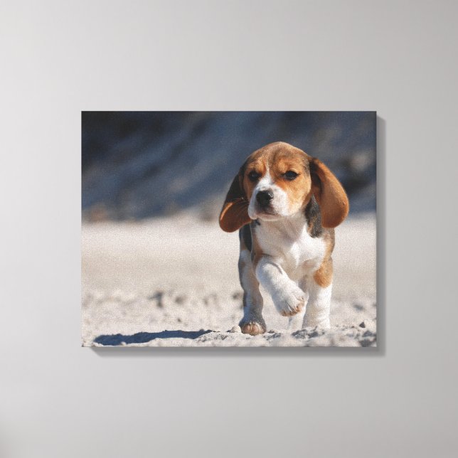 Toile Beagle d'été (Recto)