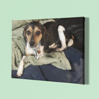 Beagle Mix Chien Art numérique faible Poly