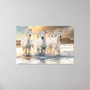 Toile Beau Cheval Blanc Sauvage