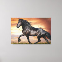 Beau Cheval Noir