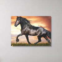 Beau Cheval Noir
