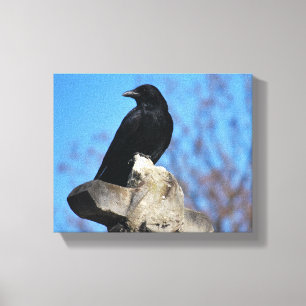 Toile Beau Corbeau Noir