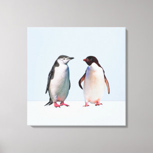 Toile Beau couple de manchots sur fond bleu pervenche cl