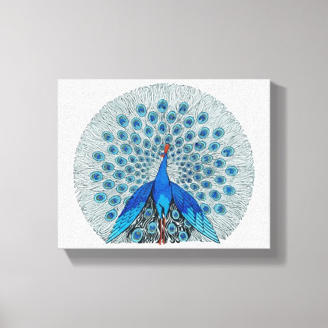 Toile Beau dessin Peacock (Recto)