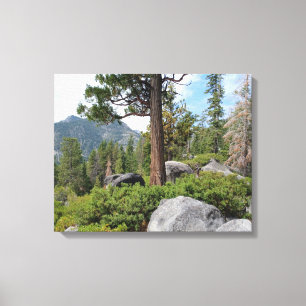 Toile Beau Lac Tahoe Paysage