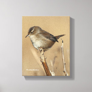 Toile Beau oiseau chanteur porté par le marais dans les