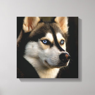 Toile Beau Oreiller Husky Lrow