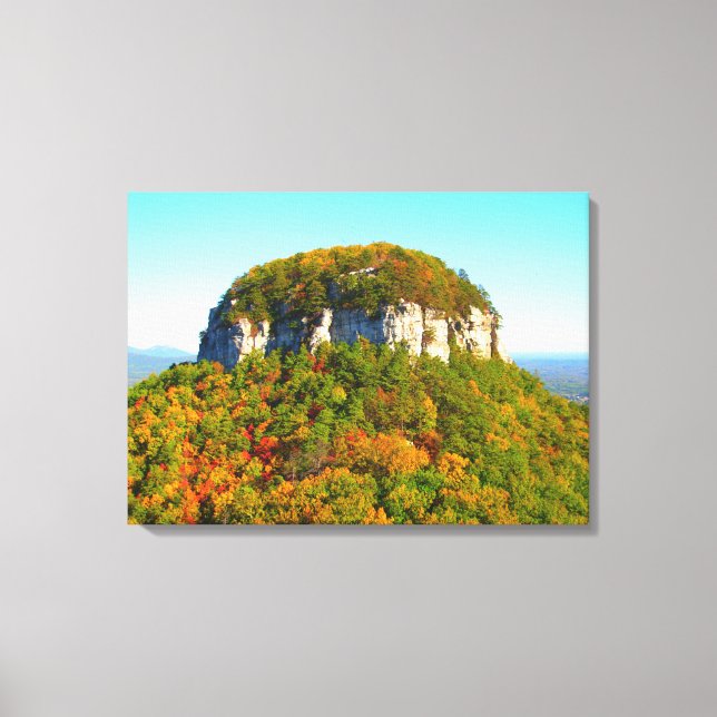 Toile Beau Paysage Montagneux (Recto)