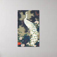 Beau Peacock Blanc Japonais