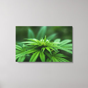 Toile Beau Plante de mauvaises herbes