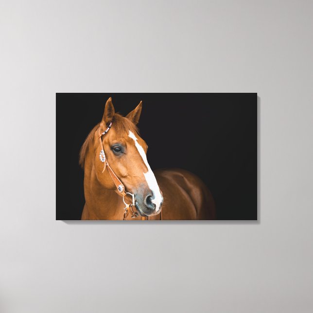 Toile Beau Quarter Horse Photo Canvas (Recto)