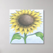 Beau tournesol