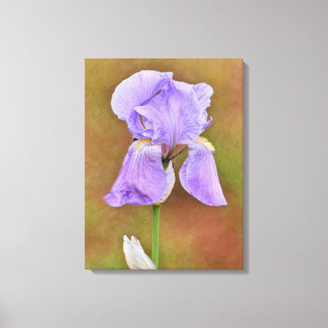 Toile Beau violet Iris Flower Art (Recto)