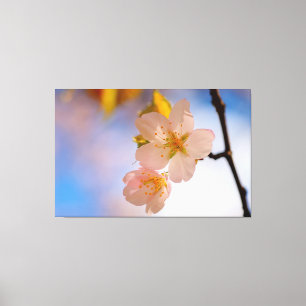Toile Beauté à couper le souffle des fleurs de Sakura au