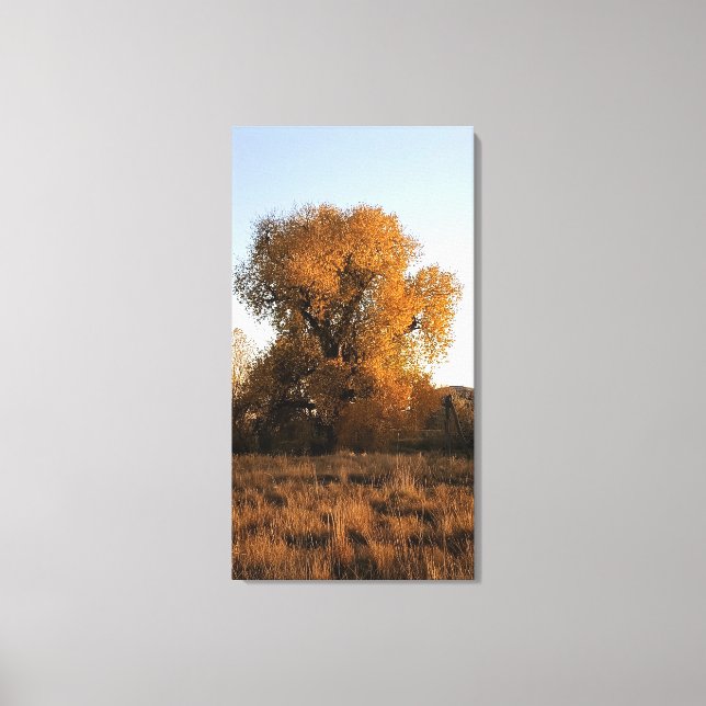 Toile Beauté du Colorado (Recto)