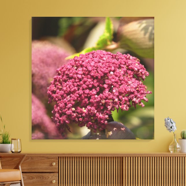 Toile Beautiful Angelica Flower  (Insitu(Salon))