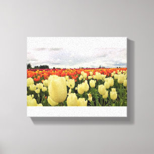 Toile Beautiful Tulip Field