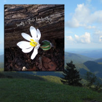 BEAUTY DIEU L'EMERSON EARTHIE DE L'ÉCRITURE À LA M