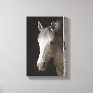 Toile Beaux CHEVAUX DE Mare Grise