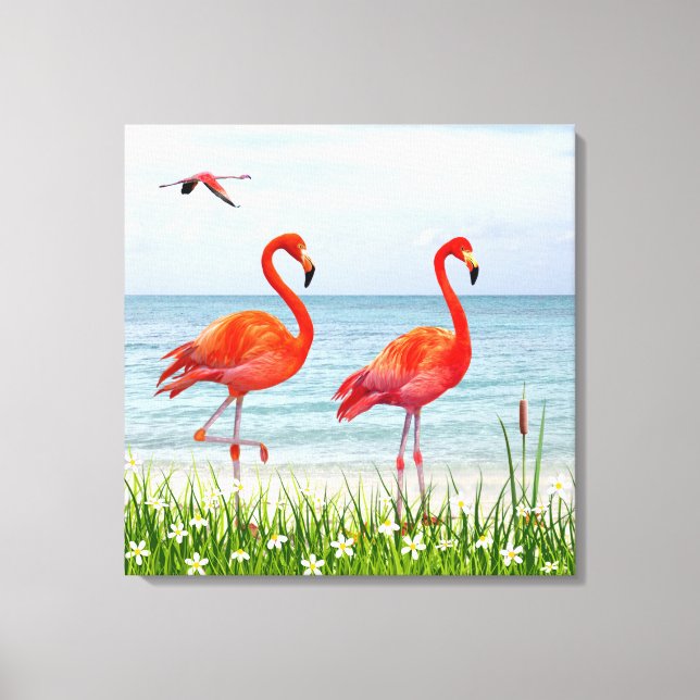 Toile Beaux Flamants roses rouges près des Fleurs blanch (Recto)