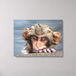 Toile Bébé Japonais Macaque Jigokudani Yaen-Koen