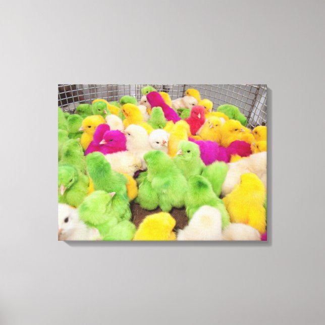 Toile Bébés Dans Un Stylo À Un Marché Coloré Par Teintur (Recto)