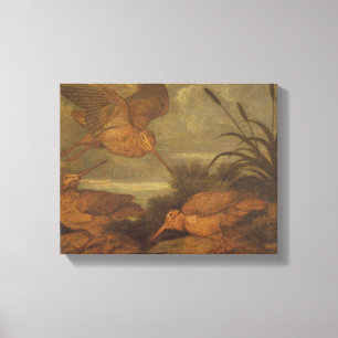 Toile Bécasse à Dusk, vers 1676 (huile sur toile)
