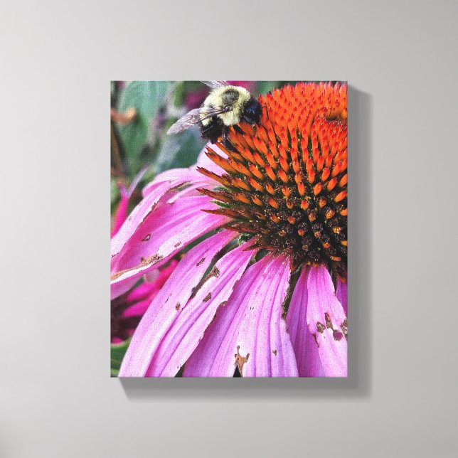 Toile Bee and Coneflower Faux Wrapped Canvas Print (Recto)