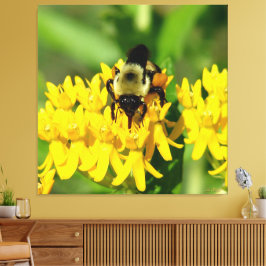 Toile Bee Feasting on Butterfly Weed Wildflowers