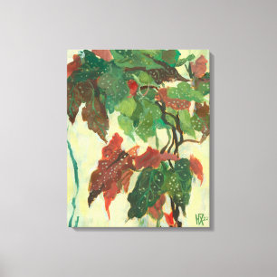 Toile Begonia Maculata Accueil Jardin Plante Floral Pein