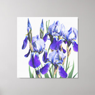 Toile Belle aquarelle botanique bleu Iris Fleurs P