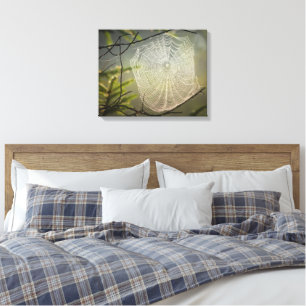 Toile Belle araignée Web dans la forêt sur